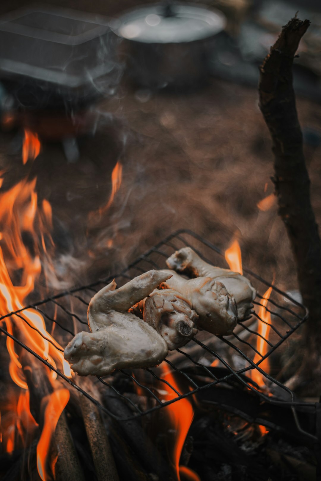 grilled chicken on bbq